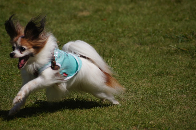 DSC05810.jpg