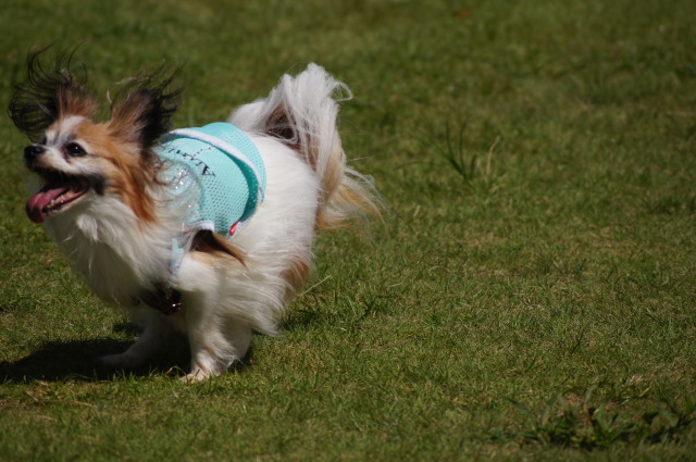 DSC05811.jpg
