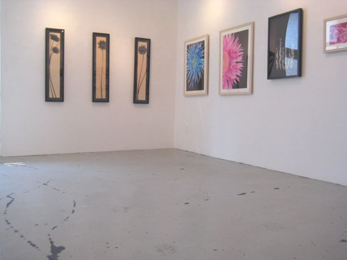 20090411-02.jpg