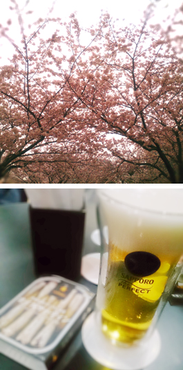 桜,サッポロ黒ラベル「パーフェクトデイズ2016」