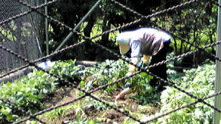20100617101011.jpg