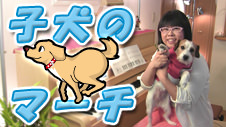 子犬のマーチ