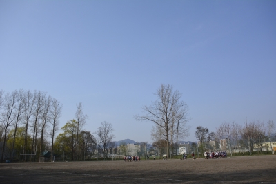 _DSC0243t.jpg