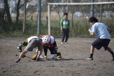 _DSC0329t.jpg