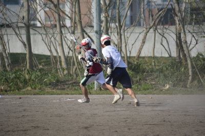 _DSC0348t.jpg