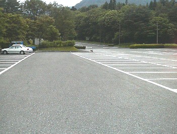 サル