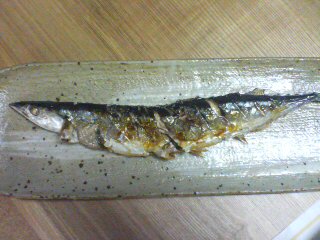 秋刀魚