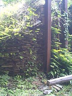 080606_1309~0001.jpg