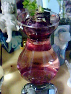 120109_1223~0001.jpg