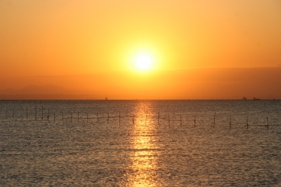 千葉県木更津市で名所めぐり~江川海岸の絶景・海中電柱 | 日本 千葉県木更津市で名所めぐり~江川海岸の絶景・海中電柱 | 日本