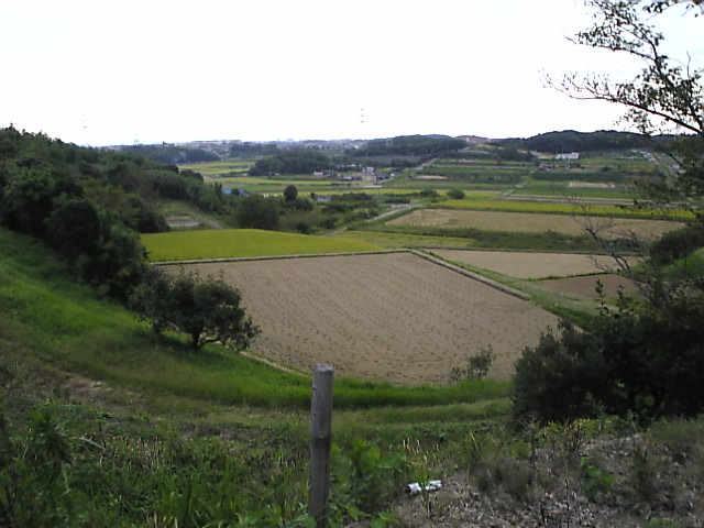 Image028.jpg