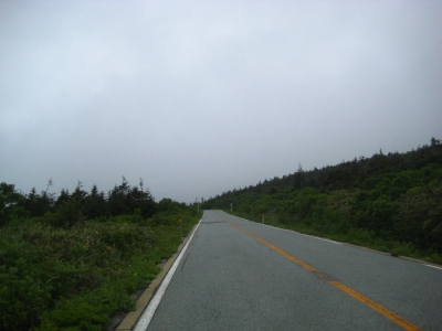 IMG_3553.JPG
