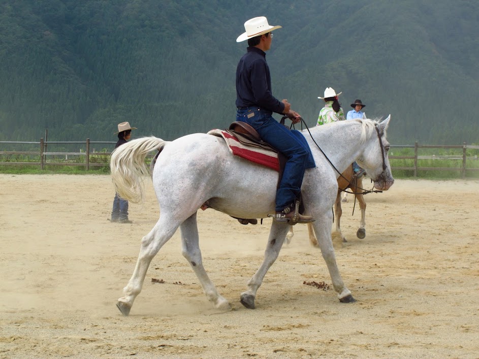 前森チャンピオンシップ2012 風薫る丘みちのく乗馬クラブ