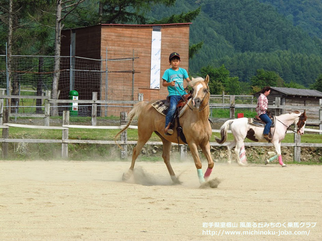 前森チャンピオンシップ2012 風薫る丘みちのく乗馬クラブ