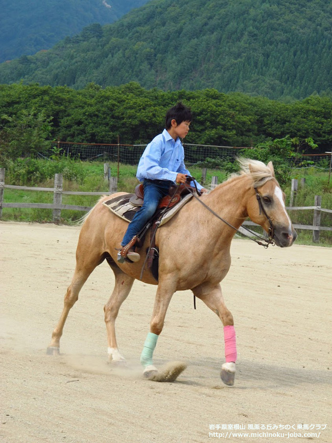 前森チャンピオンシップ2012 風薫る丘みちのく乗馬クラブ