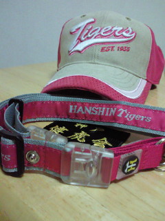 200904292302000.jpg