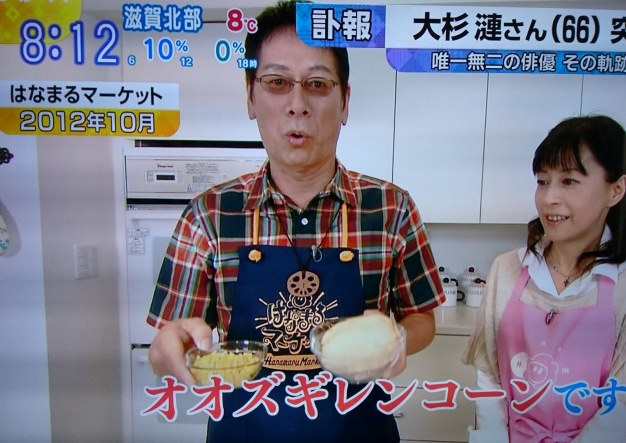 大杉れんこん