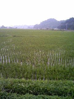 ぐんまの田園