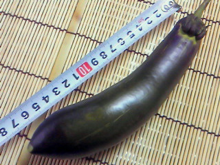 201010301110000.jpg