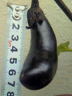 201010301055001.jpg