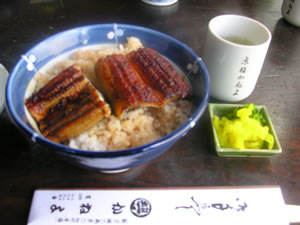 かねよのうな丼
