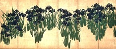 光琳_燕子花図屏風右隻