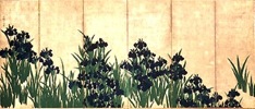 光琳_燕子花図屏風左隻