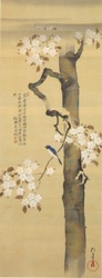 酒井抱一_桜に瑠璃鳥図