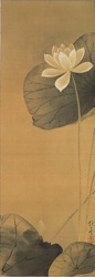 抱一_白蓮図