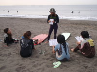 surf2