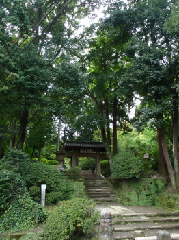 trail3