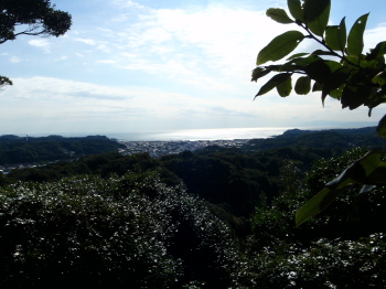 trail4