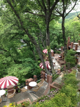 trail1