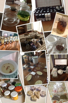 aromaherb
