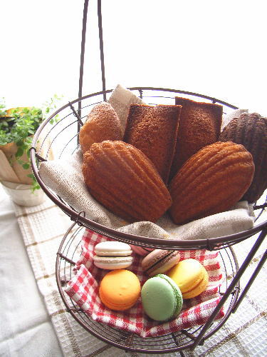 photo2