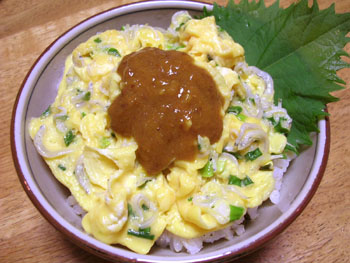 食養生カレー 卵どんぶり