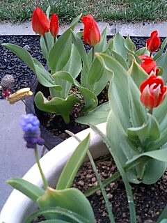 090426_1119~0001.jpg