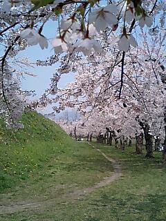 090502_1225~0001.jpg