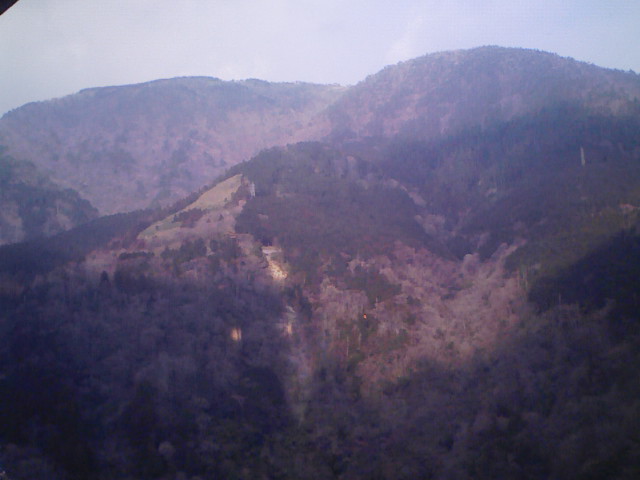 20080223132827.jpg