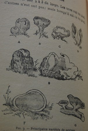 arcll002.jpg