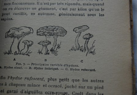 arcll003.jpg
