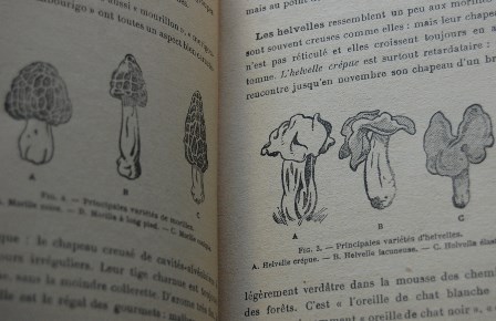 arcll004.jpg