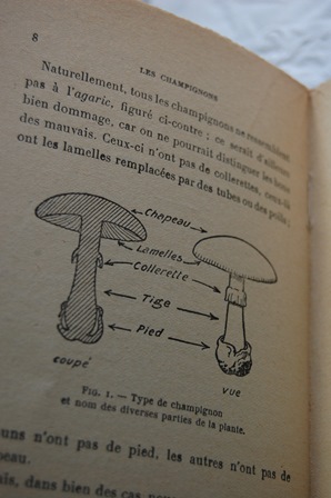 arcll005.jpg