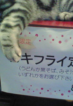 20070603_302360.jpg