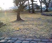 111208_154202.jpg