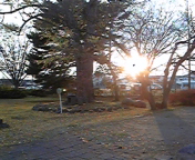 111208_154111.jpg
