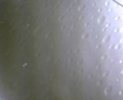 111227_202814.jpg