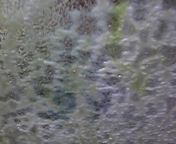 111227_201938.jpg