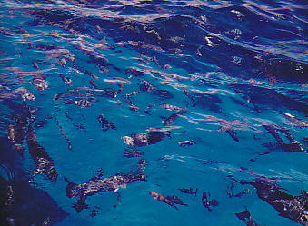 8-20_0001.jpg