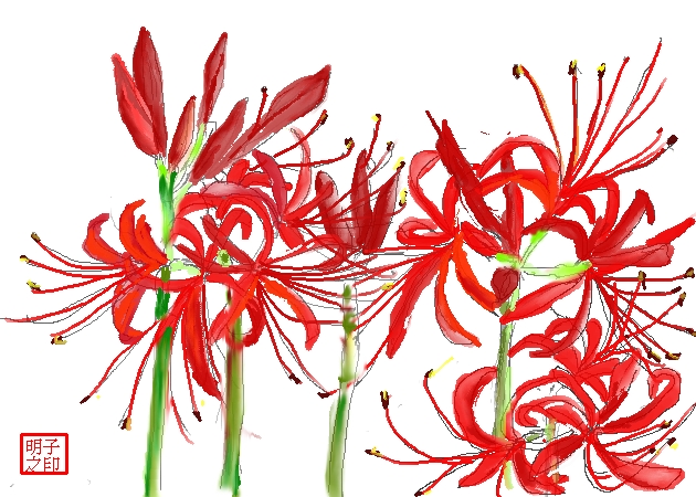 彼岸花